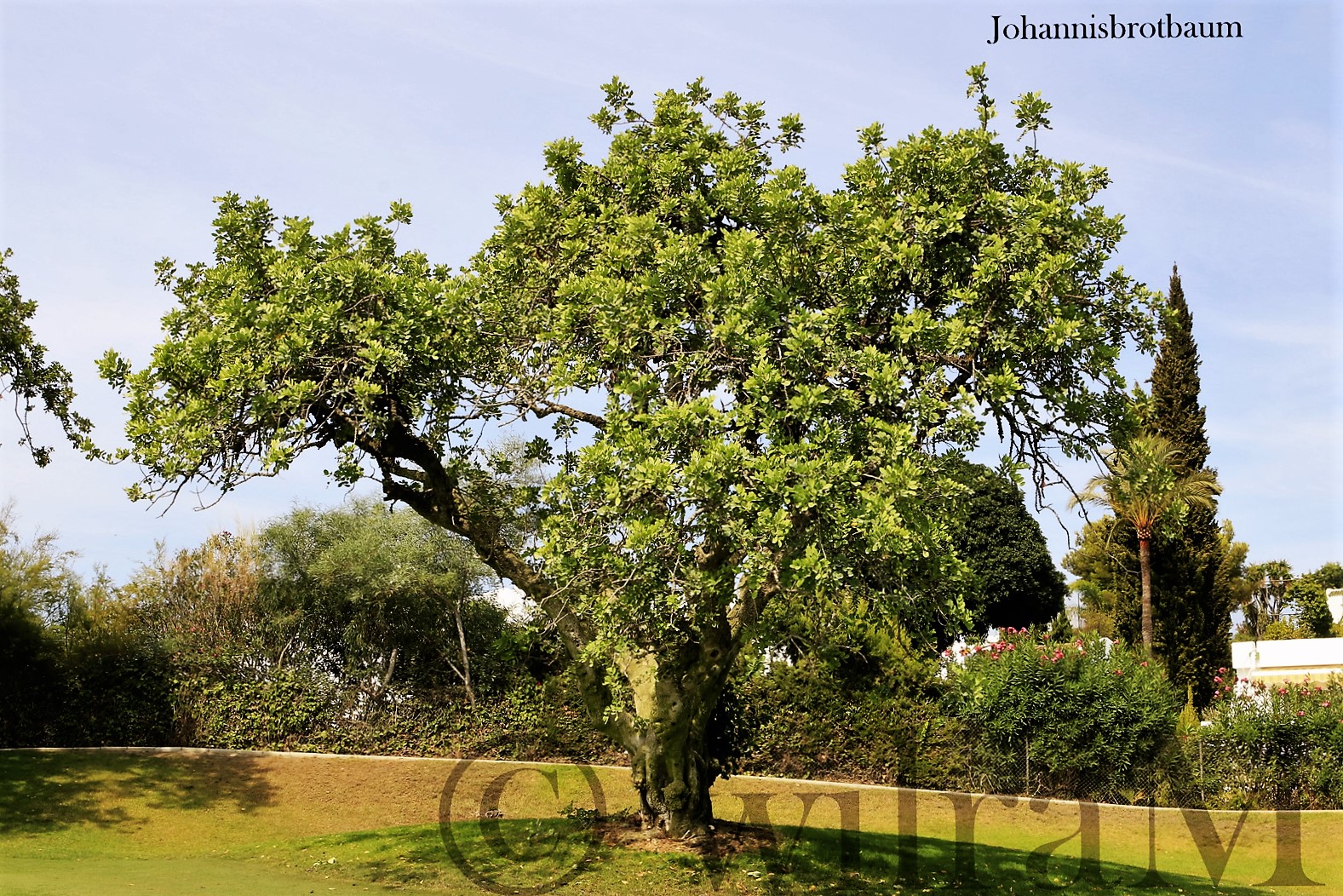 4-_mg_6352