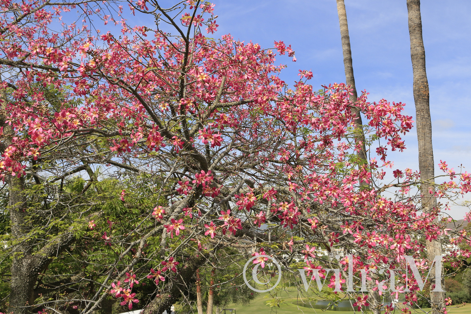02-_mg_6397