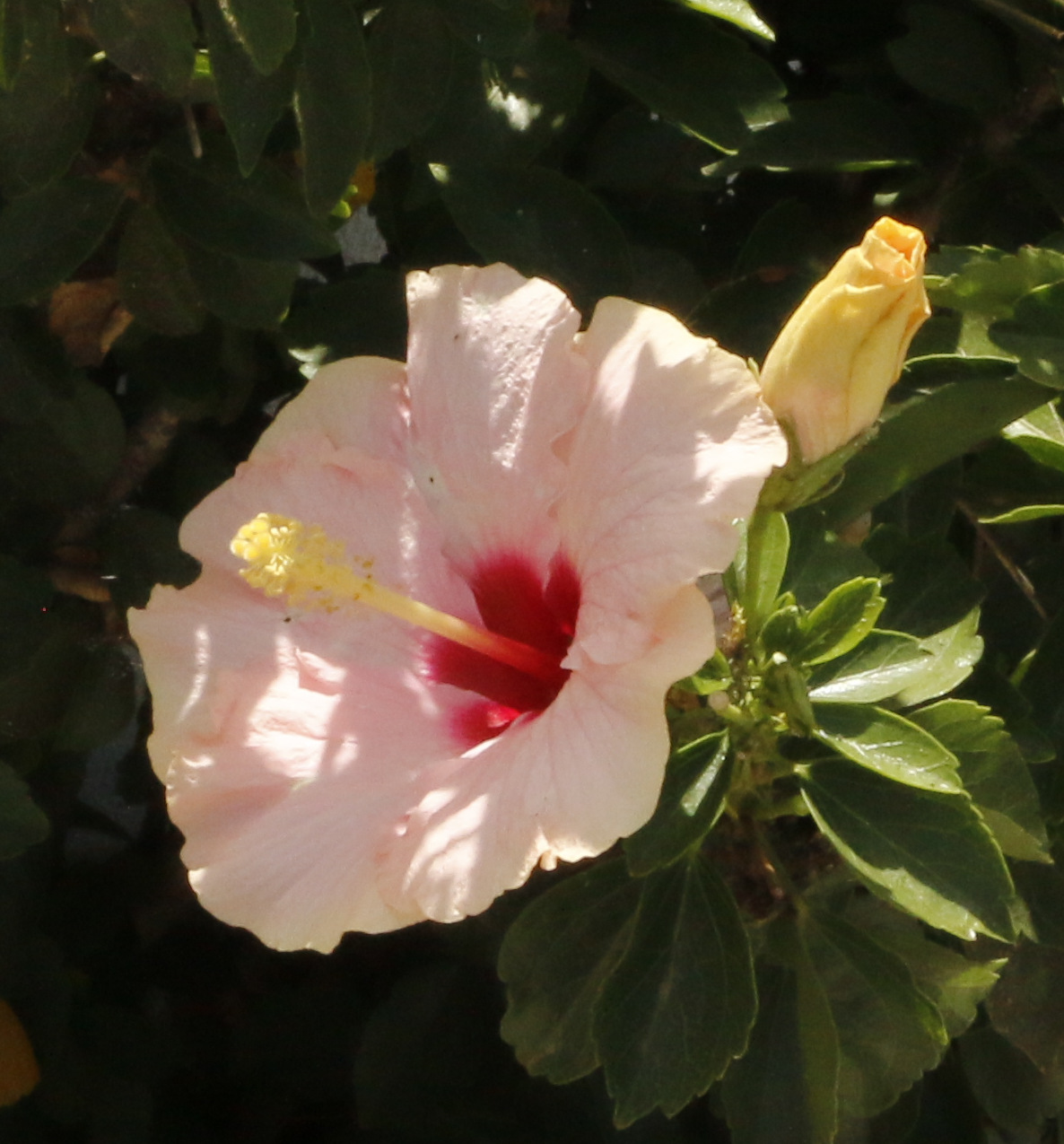 09-_mg_8676