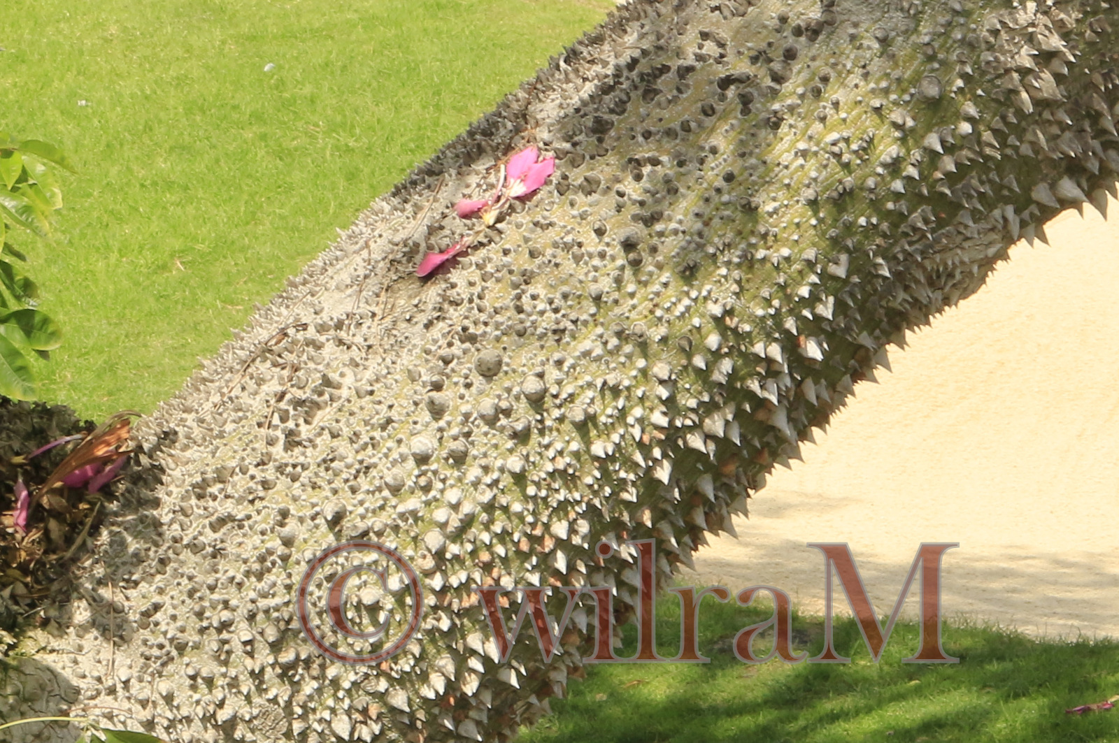 10-_mg_6405