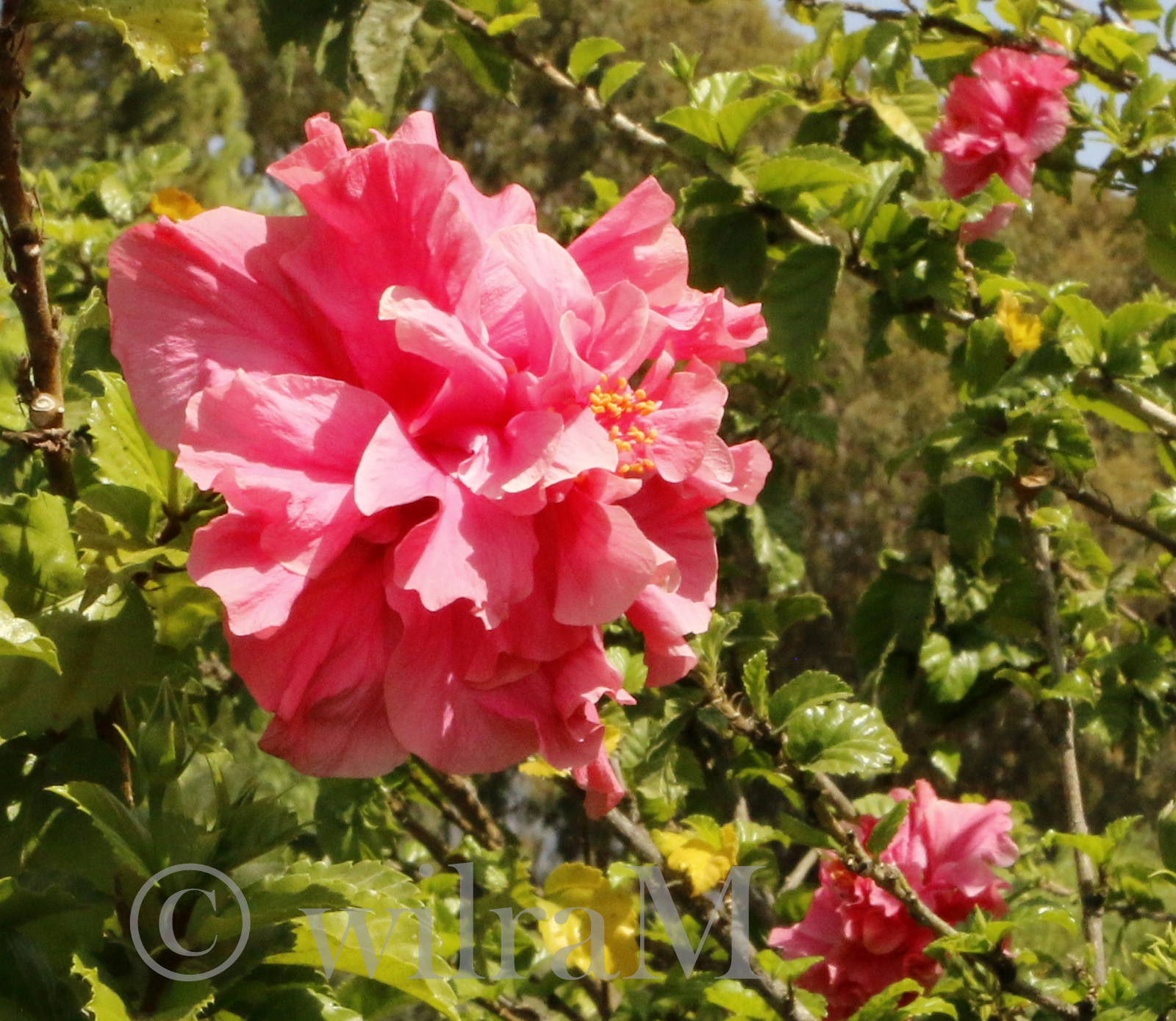 11-_mg_8678