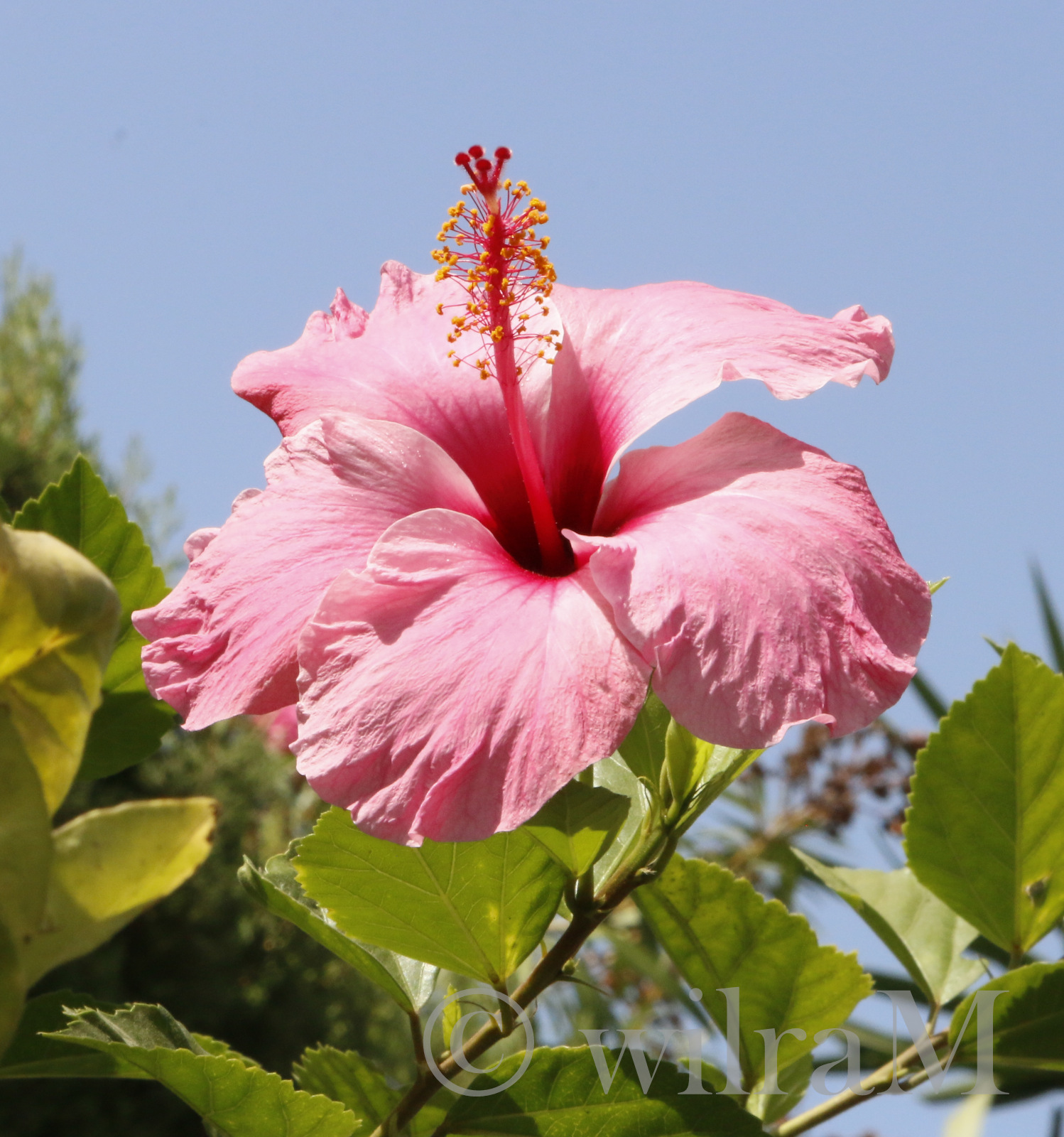 2-_mg_8644