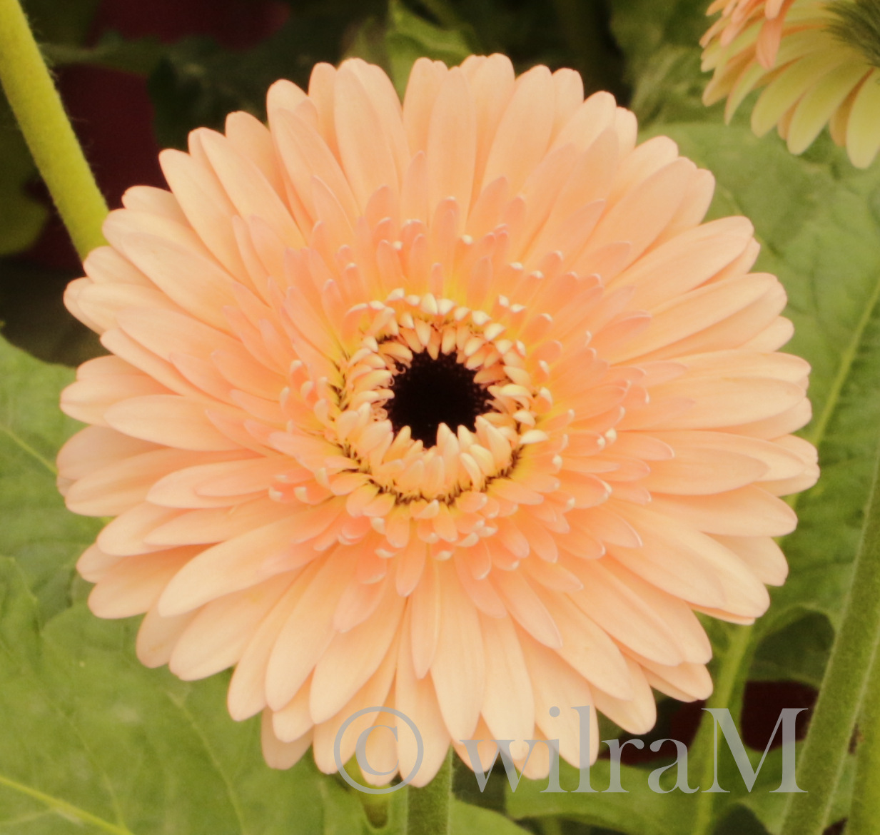 03-_mg_6663