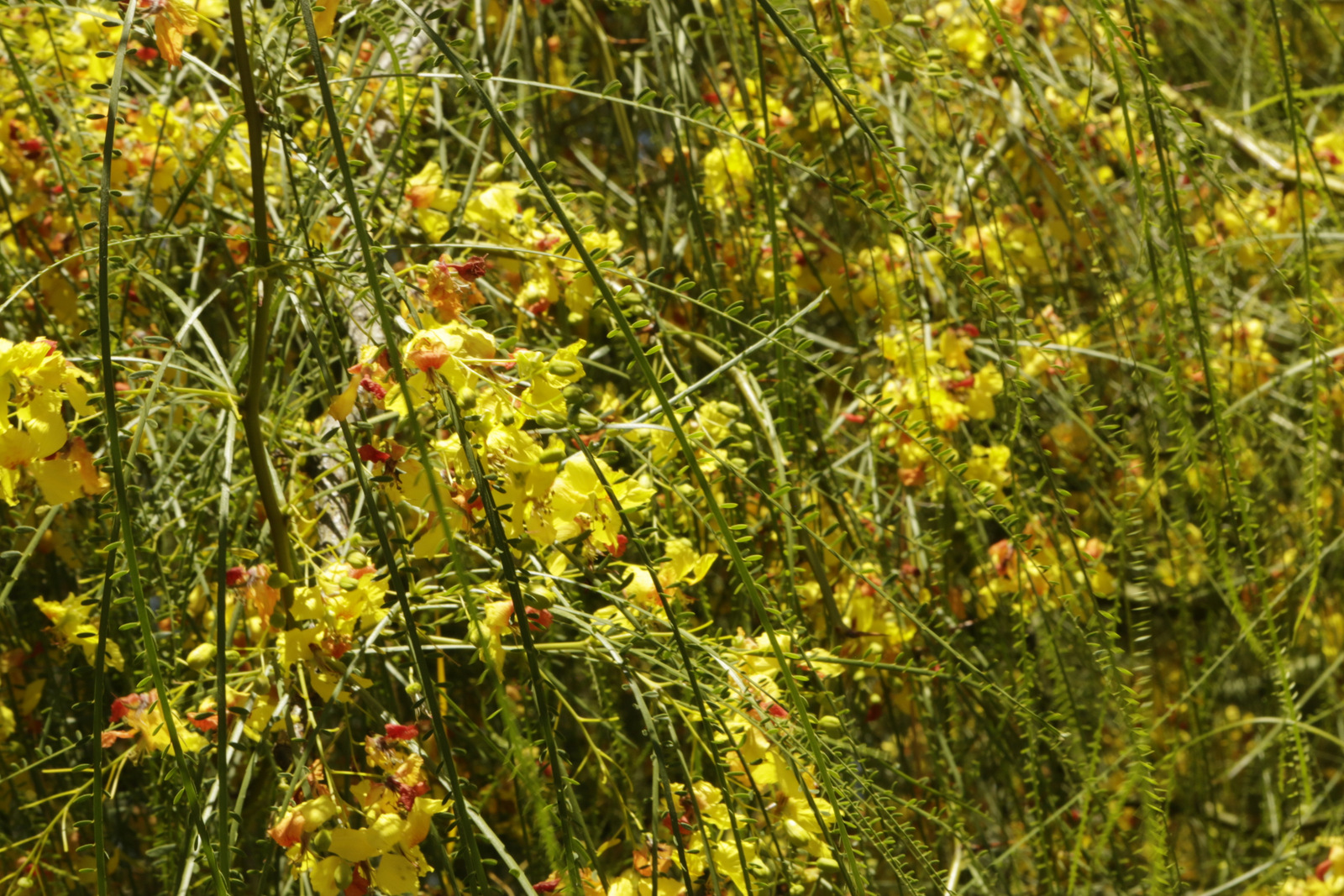 05-_mg_6478