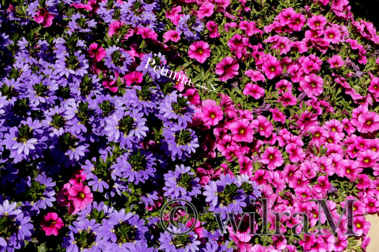 19-_MG_6880