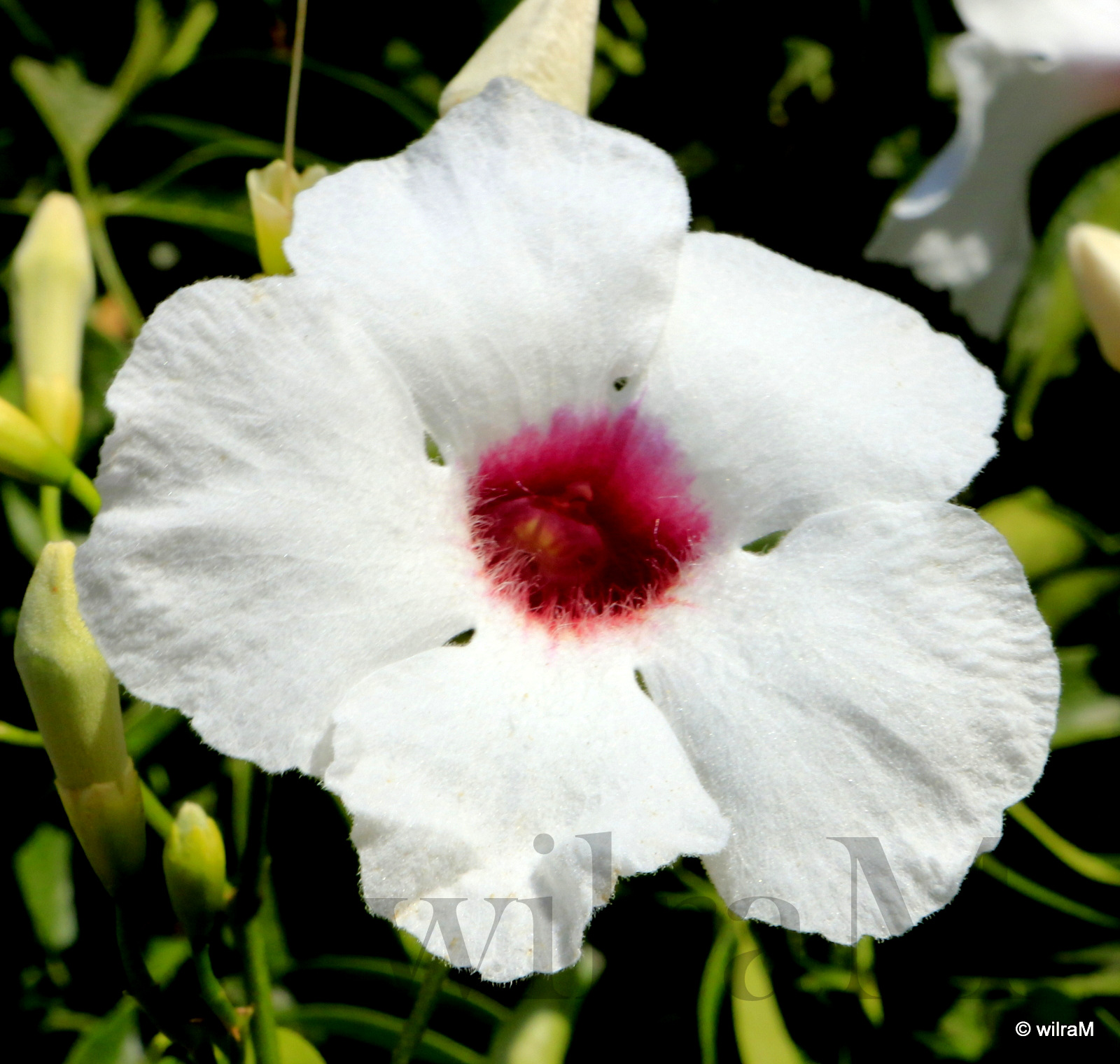 23-_MG_6979-001
