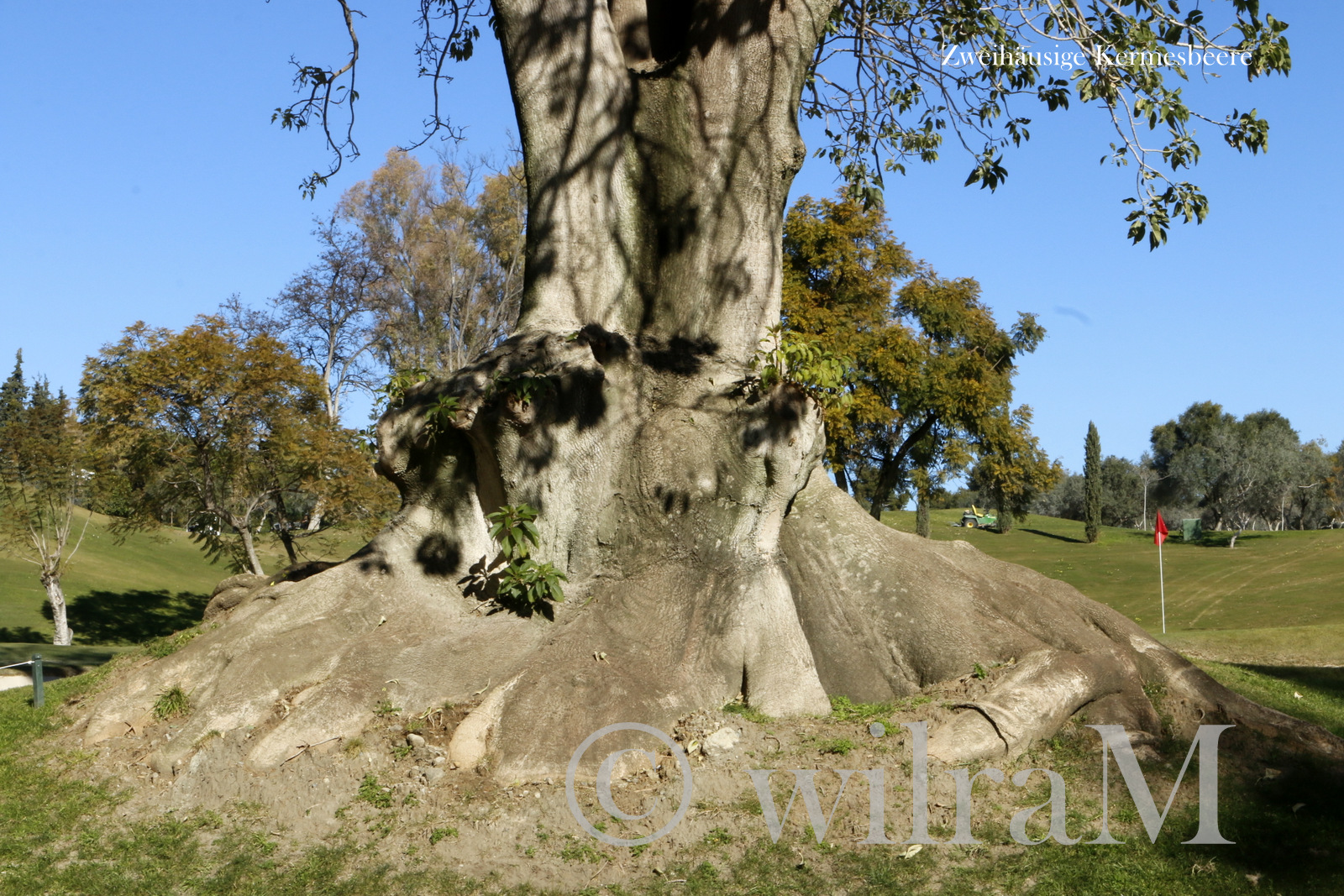 3-_MG_6939-001