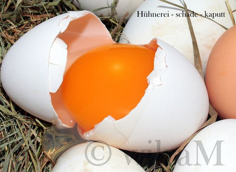 6-Hühnerei