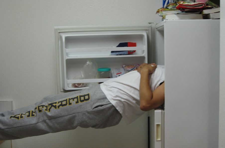 Kopf im Kühlschrank