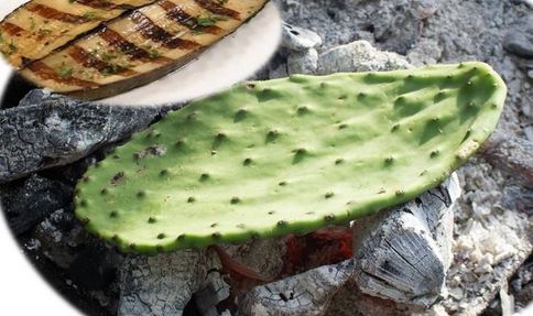 gegrillte Opuntien  W I L R A M * ALOHA-GOLF-Marbella