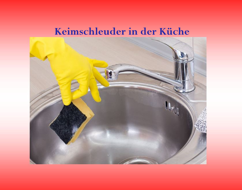 K-Schleuder (2)