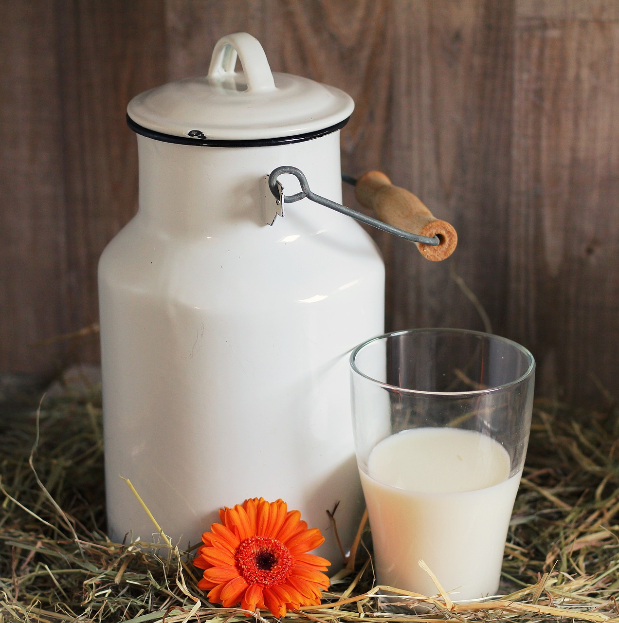 milk-can-1990075_1280