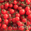 Tomaten