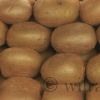 Kiwis