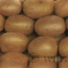 Kiwis