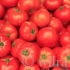 Tomaten