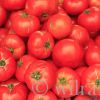 Tomaten