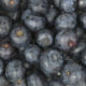 Blaubeeren