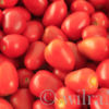 Tomaten